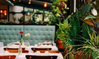 Fitodesignul în restaurante și cafenele Decorarea interiorului cu plante (sau fitodesign) în aceste localuri ajută vizitatorii