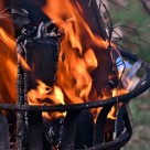 Fire pit: Cum să te bucuri în siguranță de magia focului în grădina ta 