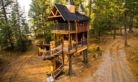 Patru arbori cresc în interiorul acestei cabane Proprietarii casei de vacanța Montana Treehouse Retreat au dus