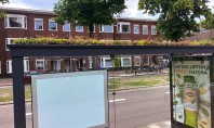 Un oraș european a instalat acoperișuri verzi în sute de stații de autobâzzz