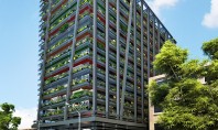 O cladire industriala va fi transformata intr-un spatiu modern cu terase pline cu vegetatie O cladire
