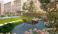 De la curte simplă la spațiu de relaxare idei pentru o grădină cu suflet O grădină