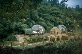 Poți dormi printre elefanți în aceste bule transparente din mijlocul junglei