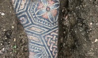 Mozaic din vremea Imperiului Roman descoperit în stare excelentă sub o vie Decoperirea reprezinta incununarea de