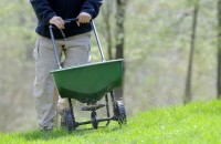 Fertilizarea gazonului - afla de ce, cand si cum sa o faci