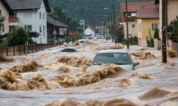 Inundațiile urbane fac ravagii Acoperișurile verzi soluția salvatoare pentru orașele României Acoperișurile verzi aduc beneficii mult