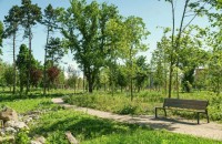 De ce spațiile verzi sunt esențiale pentru orașele moderne: Beneficii pentru comunități și autorități