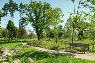 De ce spațiile verzi sunt esențiale pentru orașele moderne: Beneficii pentru comunități și autorități