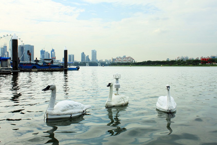 Lebedele robotice folosite pentru a monitoriza calitatea apei potabile din Singapore