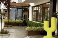 Transformă-ți grădina într-un colț de rai – Idei și sfaturi pentru o amenajare perfectă