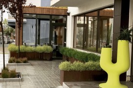 Transformă-ți grădina într-un colț de rai – Idei și sfaturi pentru o amenajare perfectă
