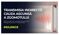 Ce este transmiterea laterală a zgomotului și de ce contează? &Icirc;n astfel de situații problema nu