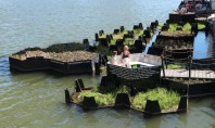 Un parc plutitor făcut în întregime din plastic reciclat Proiect al Fundatiei Recycled Island Recycled Park