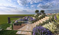 C&acirc;nd se plantează lavanda &icirc;n grădină și cum o &icirc;ngrijești corect Lavanda este una dintre cele
