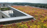 Argumente in favoarea unui acoperis verde Aspect imbunatatit protectia hidroizolatiei habitat pentru plante si animale imbunatatirea