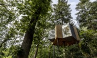 ”Hotelul din copac” construit într-o pădure din Danemarca Suspendate la opt metri deasupra solului casutele care
