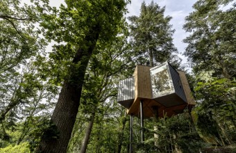 Hotelul din copac care îți oferă priveliști de vis din natură în toate direcțiile