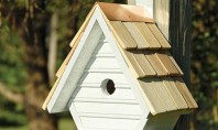 Căsuțe pentru păsări în grădina ta – sfaturi pentru o alegere potrivită