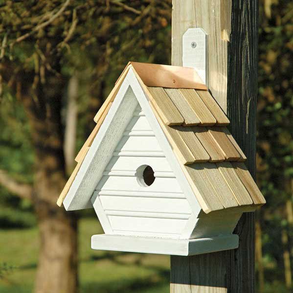 Căsuțe pentru păsări în grădina ta – sfaturi pentru o alegere potrivită
