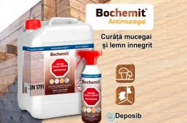 Soluții pentru îndepărtarea mucegaiului și curățarea lemnului de la Bochemit
