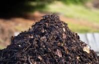 &Icirc;ngrășăminte naturale pentru grădină: soluții eficiente