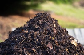 &Icirc;ngrășăminte naturale pentru grădină: soluții eficiente