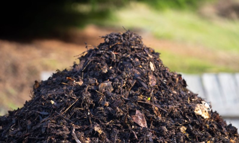 Îngrășăminte naturale pentru grădină: soluții eficiente