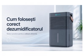 Cum folosești corect dezumidificatorul. Sfaturi practice și greșeli de evitat