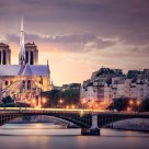Reconstrucția Catedralei Notre-Dame: Propunerea care a cucerit publicul
