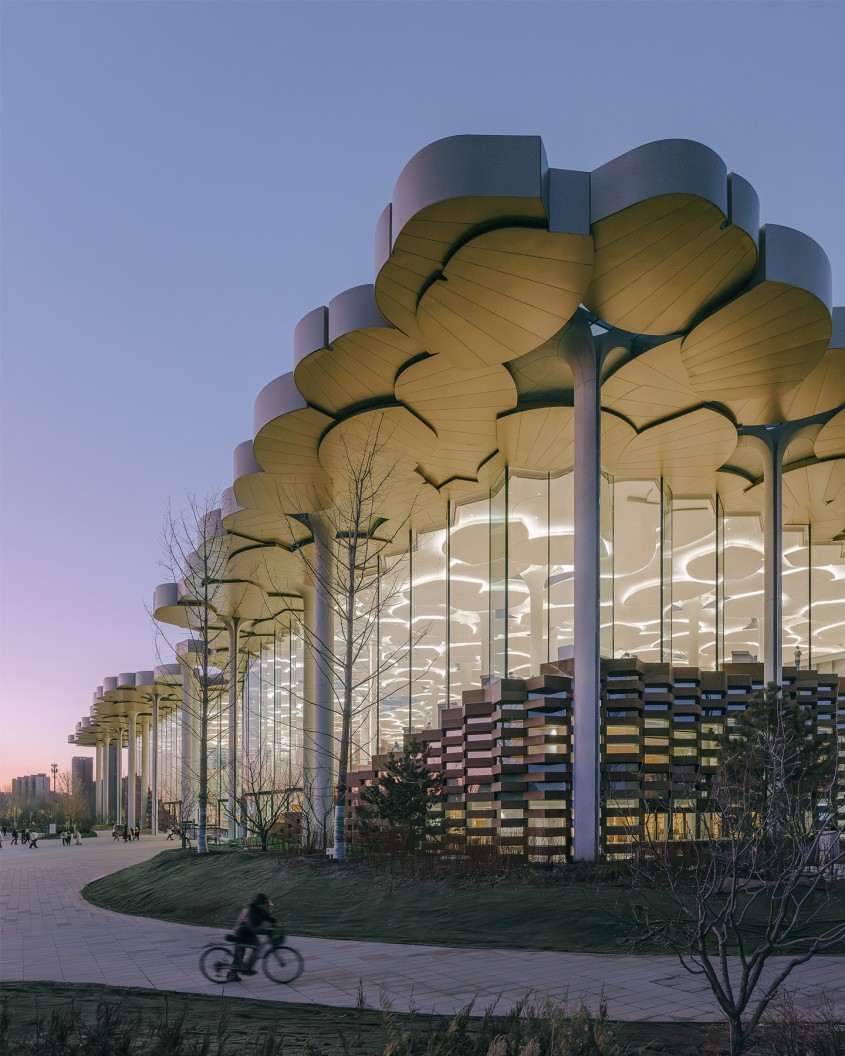 A fost finalizată Biblioteca Municipală din Beijing, un design inspirat de un arbore străvechi