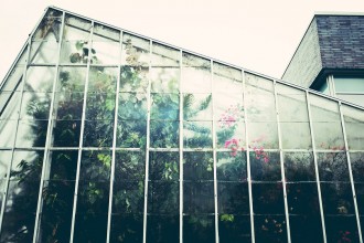 Care sunt diferențele dintre o seră şi un solar