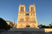 Reconstrucţia Catedralei Notre-Dame: a început vânătoarea de stejari seculari