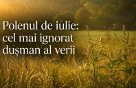 Polenul de iulie: cel mai ignorat dușman al verii