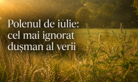 Polenul de iulie cel mai ignorat dușman al verii Vorbim despre polenul de iulie marele dușman