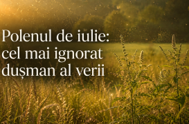 Polenul de iulie: cel mai ignorat dușman al verii
