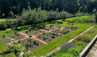 Eco Garden Construct Expertiza și soluțiile noastre pentru proiectele peisagistice publice Expertiză și echipă specializată Cu
