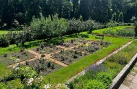 Eco Garden Construct: Expertiza și soluțiile noastre pentru proiectele peisagistice publice