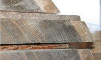 Tâmplărie exterioară și interioară Ce tipuri de lemn se folosesc DOXAR produce tâmplărie exterioară și interioară