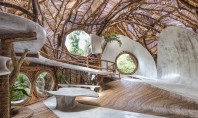 Strănepotul legendarei Peggy Guggenheim a deschis această fantastică galerie de artă O casa din copac fantastica