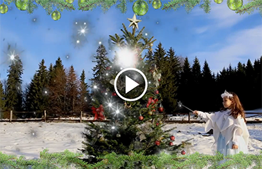 Priveste ''Viata in Verde'' alaturi de RoofArt! <br>Urarile echipei noastre adunate intr-un video cu iz de