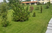 Cum influențează spațiile verzi valoarea unei proprietăți imobiliare?