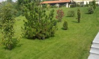 Cum influențează spațiile verzi valoarea unei proprietăți imobiliare? Mai jos am detaliat câteva dintre principalele avantaje