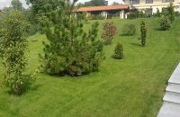 Cum influențează spațiile verzi valoarea unei proprietăți imobiliare?
