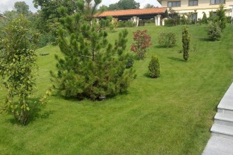 Cum influențează spațiile verzi valoarea unei proprietăți imobiliare?