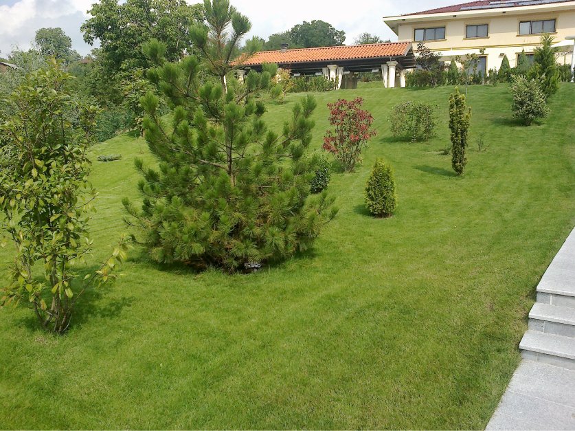 Cum influențează spațiile verzi valoarea unei proprietăți imobiliare?