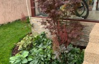 Idei practice pentru amenajarea grădinii