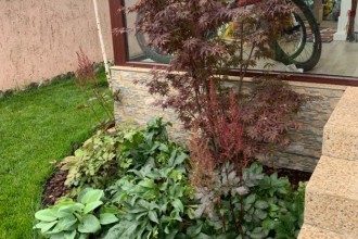 Idei practice pentru amenajarea grădinii