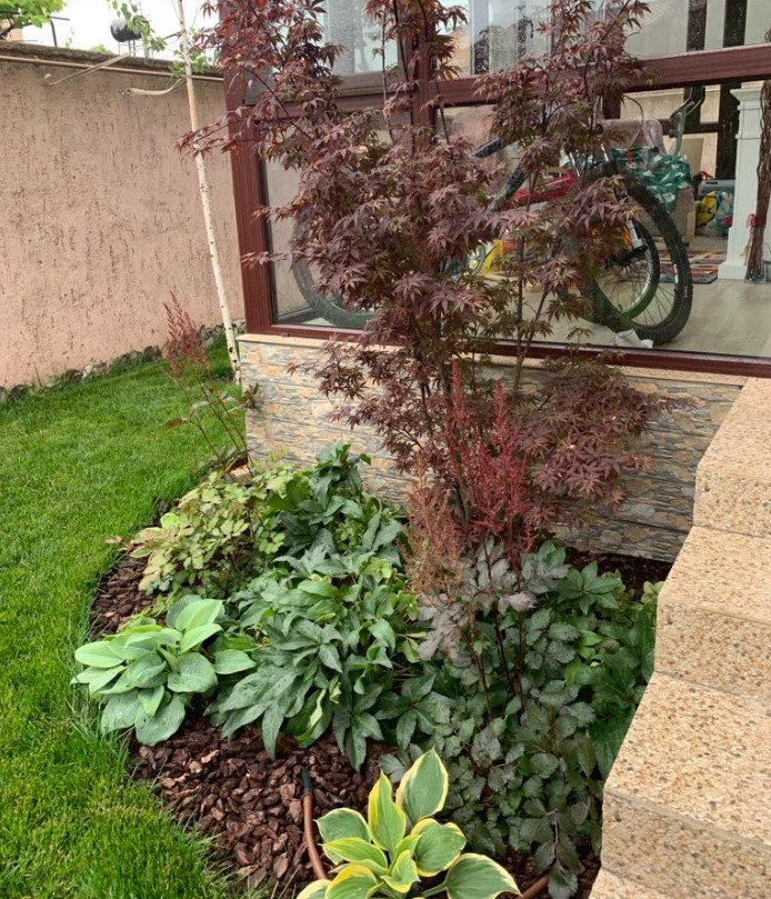 Idei practice pentru amenajarea grădinii