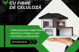 Izolația din celuloză: soluția ecologică și eficientă pentru casa ta