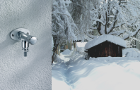 Asigură-ți toamna o primăvară liniștită cu Polar II!